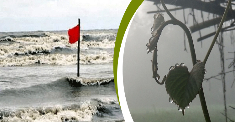 নামলো সতর্ক সংকেত, তাপমাত্রা কমে জেঁকে বসবে শীত  