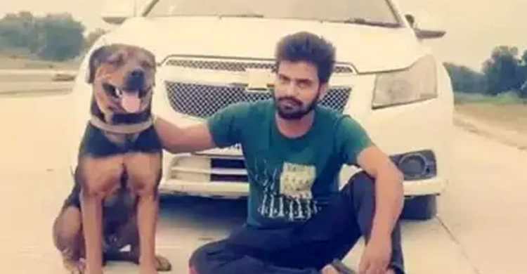 মালিককে বাঁচাতে কুকুরের মৃত্যু  