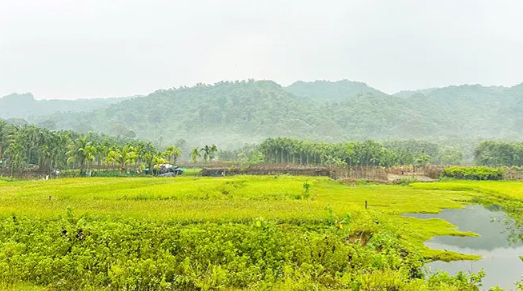 ডাকাতের অভয়ারণ্য টেকনাফ পাহাড়ি অঞ্চল, গুড়িয়ে দেওয়া হলো ৩০ আস্তানা