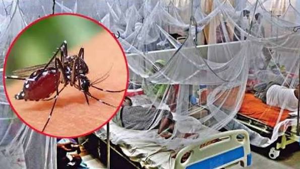 ডেঙ্গুতে আরও ৮ জনের মৃত্যু