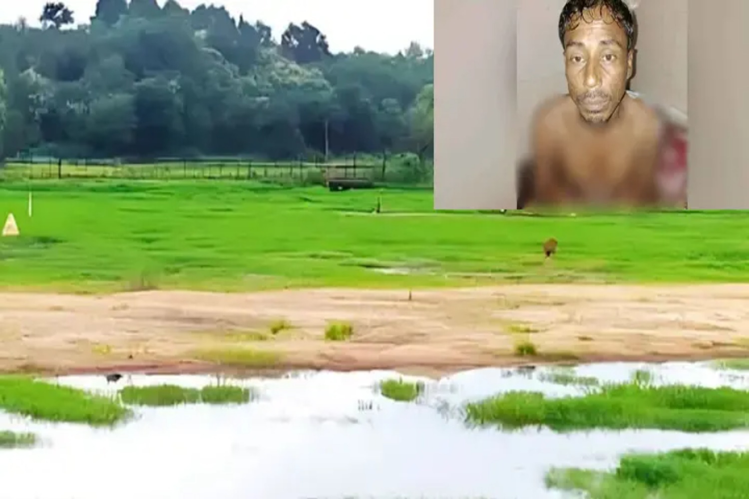 ফেনী সীমান্তে নিজ জমিতে কাজ করার সময় বিএসএফের গুলিতে বাংলাদেশি কৃষক গুলিবিদ্ধ